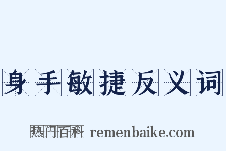 身手敏捷反义词是什么意思的图片